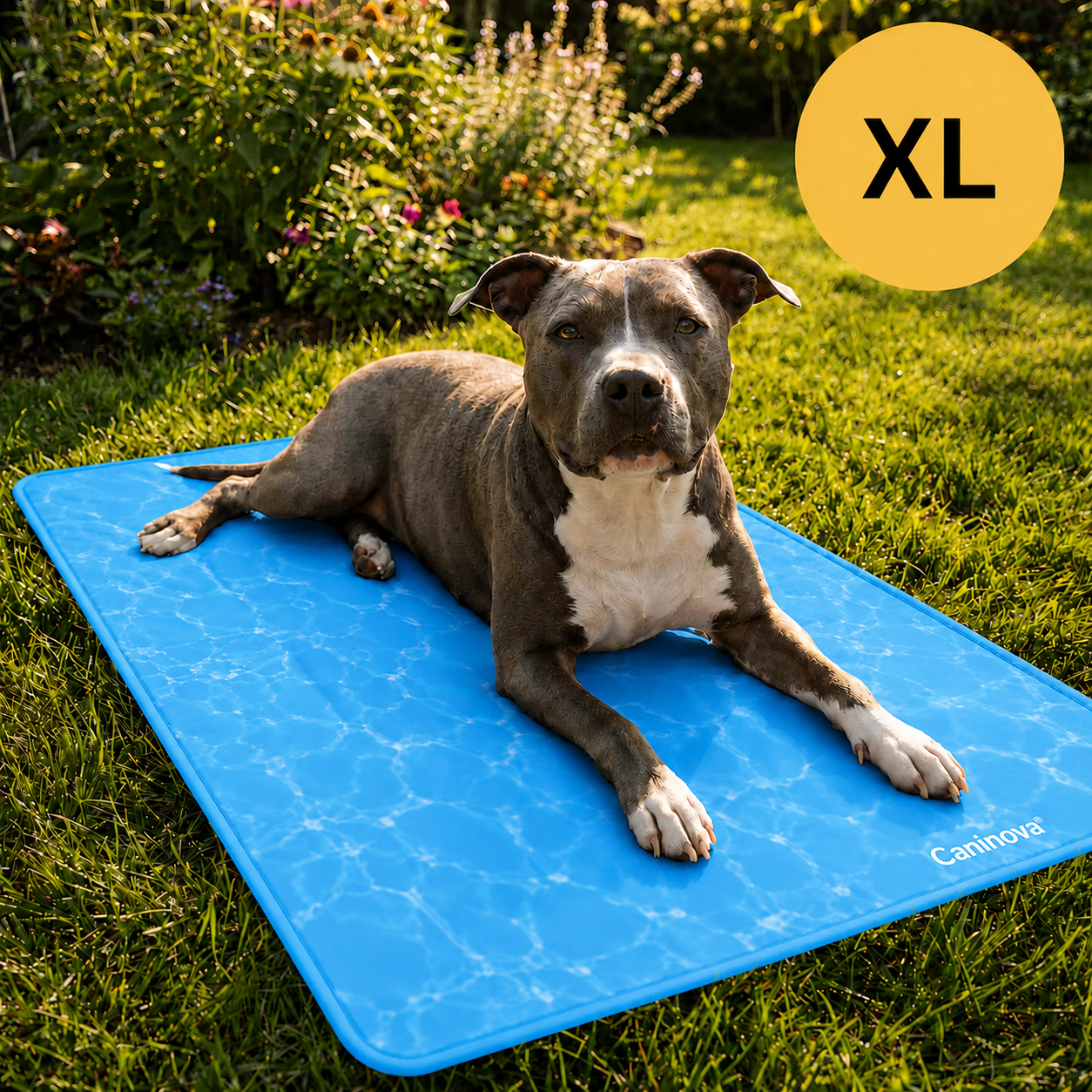 CoolingMat Fresh - Caninova