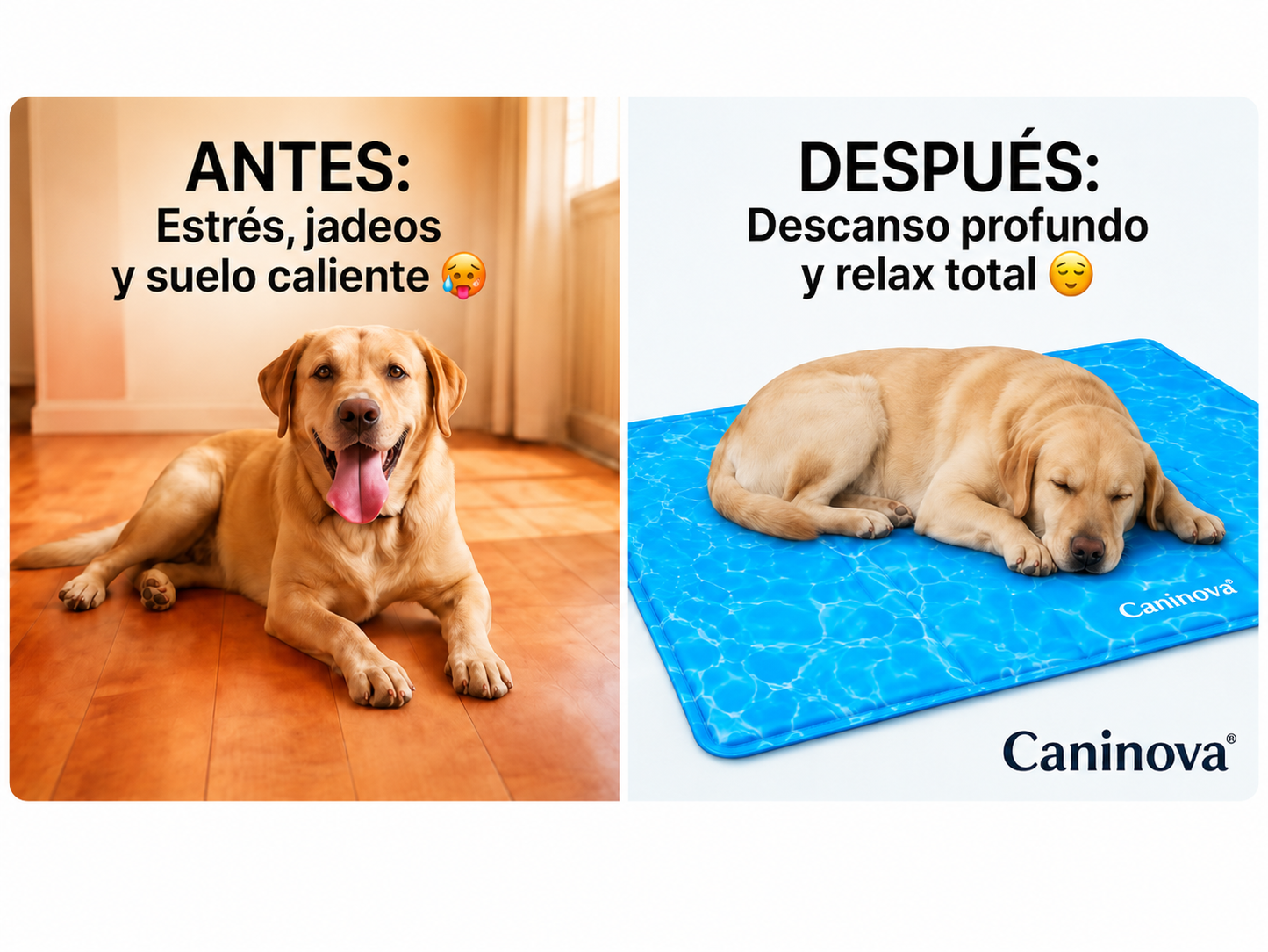CoolingMat Fresh - Caninova